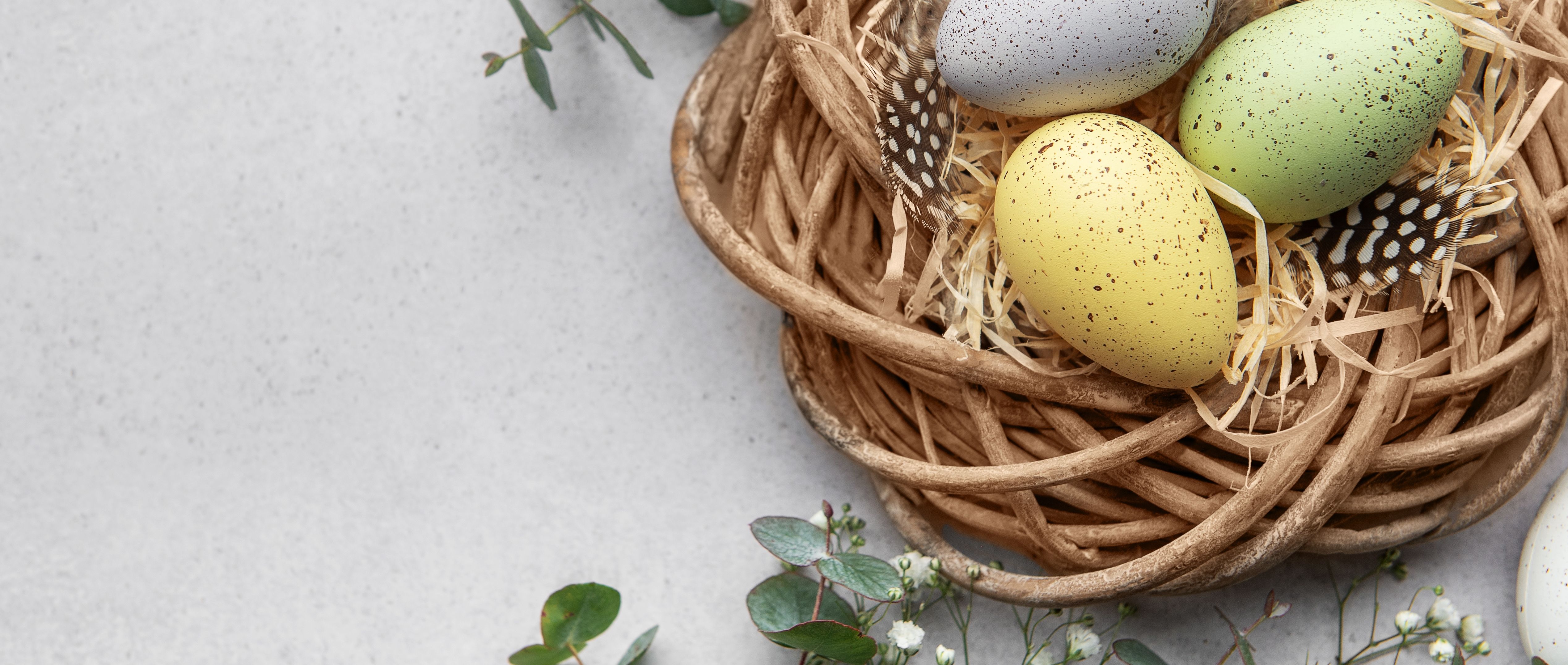 A picture of colored easter eggs in pastel colors