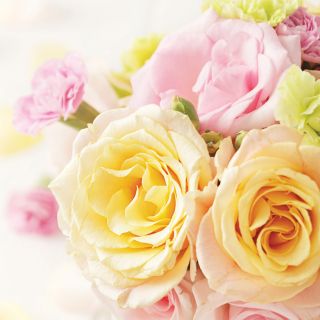 Pictures of colorful flowers for Mother's Day