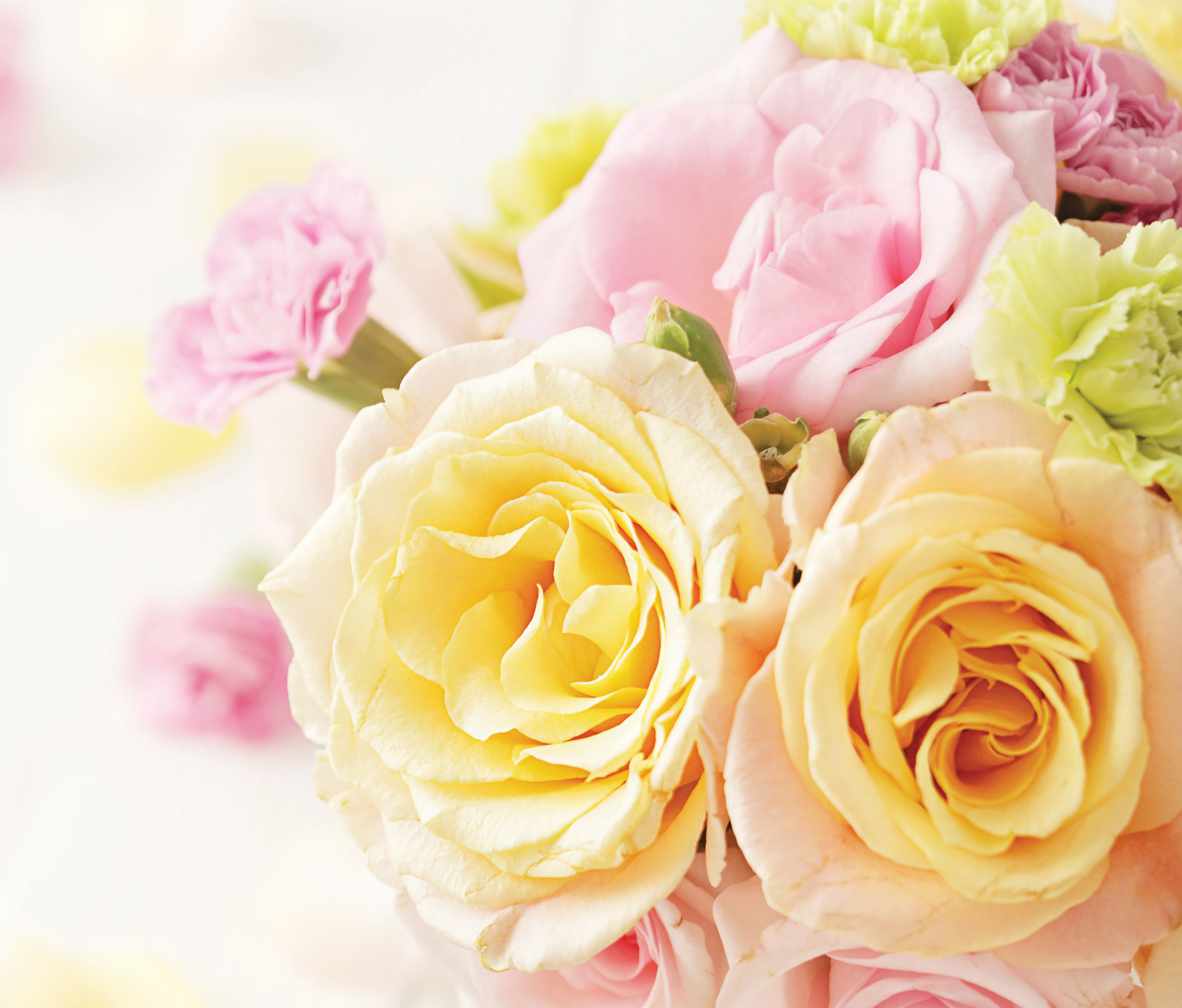 Pictures of colorful flowers for Mother's Day